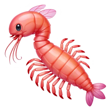 Sugar shrimp sticker