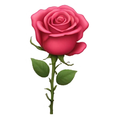 Hot rose sticker