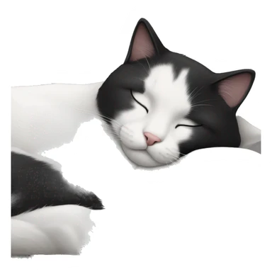 sleeping black and white cat sticker