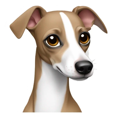 Italian greyhound fawn and white  sticker