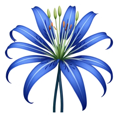 Blue spider Lily  sticker