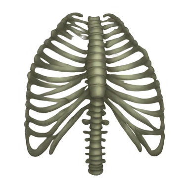 RIBCAGE  sticker