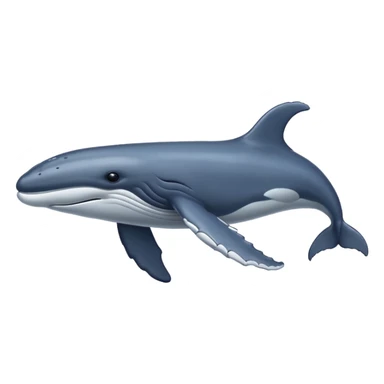 Baleine à bosse sticker
