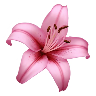 lily flower pink sticker
