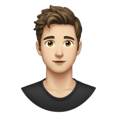 portrait of 18 years old guy, brown hair to the left, gray eyes, black shirt sticker
