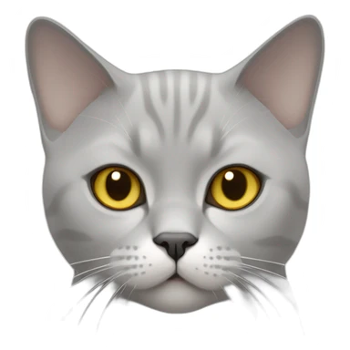 A british shorthair cat in light grey, white and beige with a white bless and with yellow eyes sticker