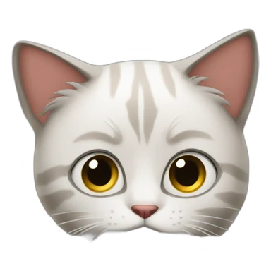 Confused cat at dinner table meme sticker