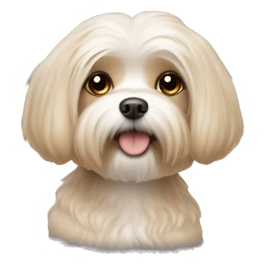 Light brown Maltese sticker