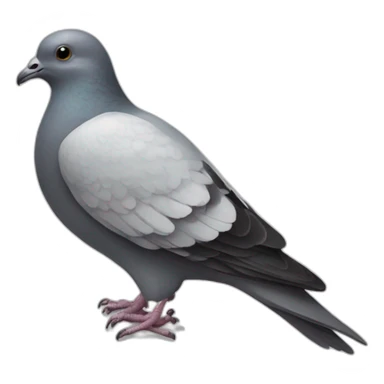 pigeon-skull-crossbones sticker
