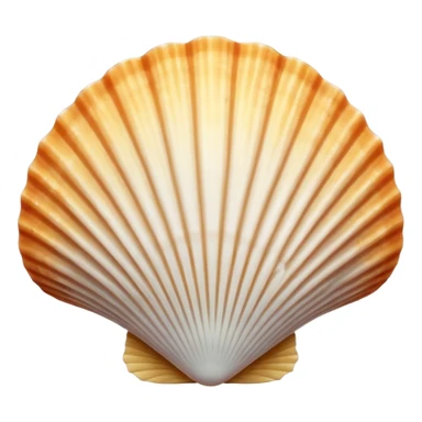 Scallop shell sticker