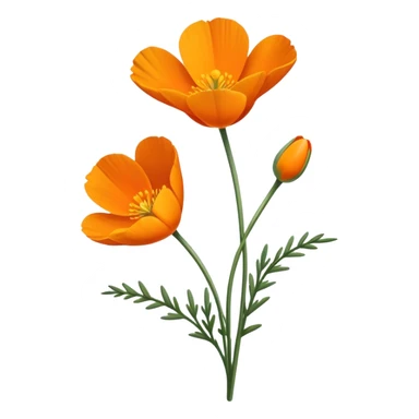single Eschscholzia californica, straight stem sticker