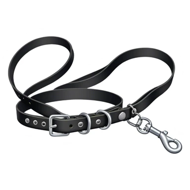Black collar with leash sticker