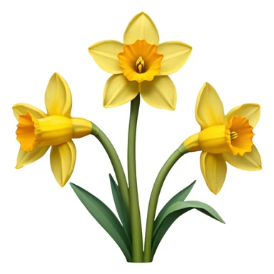 Daffodils flower  sticker