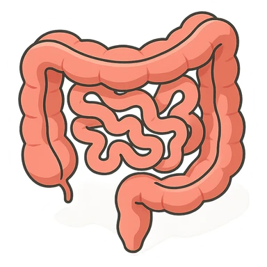 intestine in 2D isometric style, minimalist background, soft shadows and highlights, detailed, transparent background, variant with more complex shape and curves sticker
