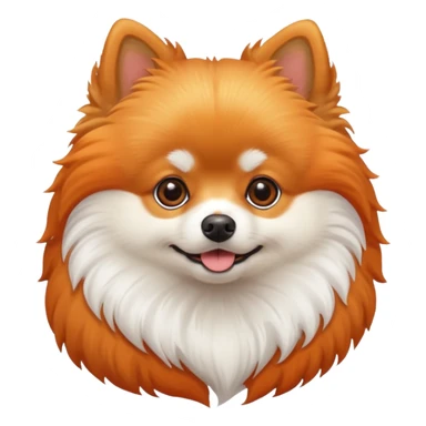 pomeranian dog  sticker