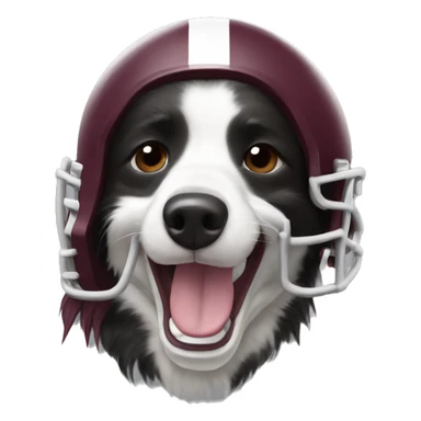 Border collie, crying, wearing an A&M football helmet sticker