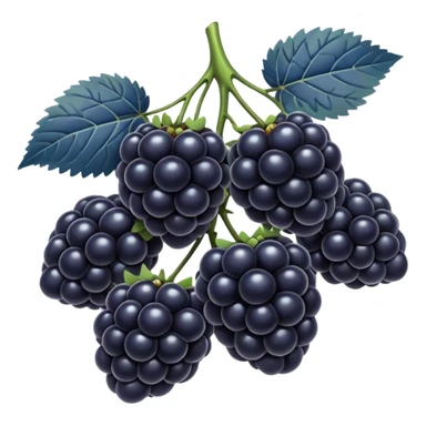 blue blackberries sticker