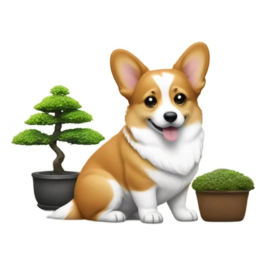 Corgi with a bonsai tree  sticker
