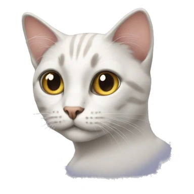 a cat sideye sticker