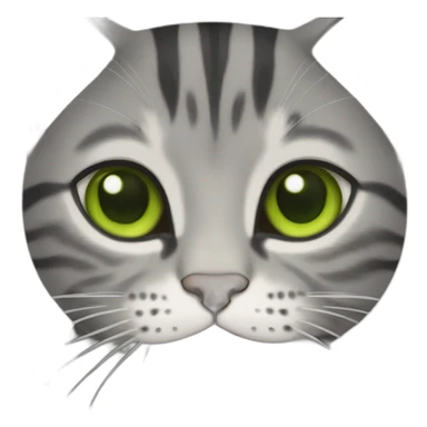 american shorthair and bengal cat mix, grey fur and green eyes sticker