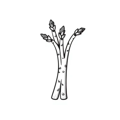 white asparagus, hand drawn doodle style, sketchy lines, black and white sticker
