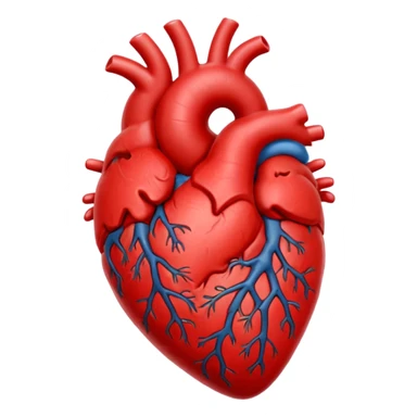 anatomical heart sticker