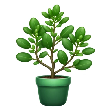 Cinematic Realistic Jade Plant Emoji, Thick and glossy, with dark green, round leaves that shine under the light. The sturdy stems and vibrant foliage give a sense of prosperity and tranquility. Soft glowing outline, capturing the essence of good luck, growth, and natural elegance in a flourishing jade plant! sticker