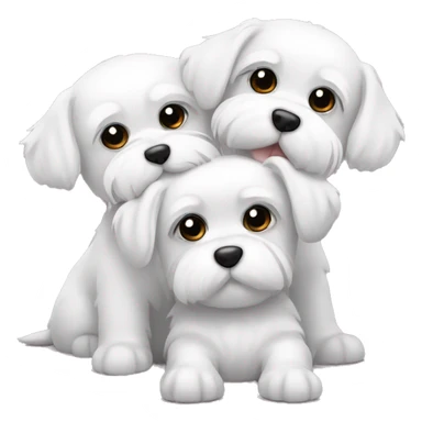 2 Maltese dogs hugging each other  sticker