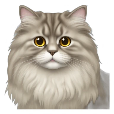 British longhair sticker