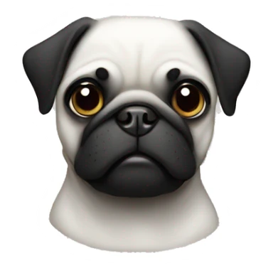 black pug with white face sticker