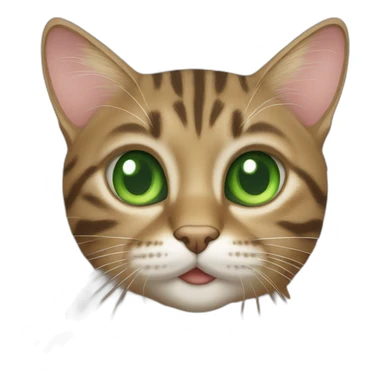 tabby cat with green eyes sticker