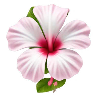 hibiskus Flower white pink sticker