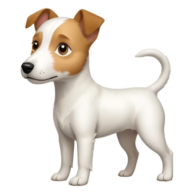 a full body slightly chubby white parson russell terrier looking dog the size of a kelpie with light brown long ears and a light brown patch on one eye and a large snout. the rest of the dog is completely whiteforward facing sticker