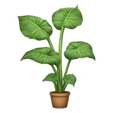 Alocasia plant sticker