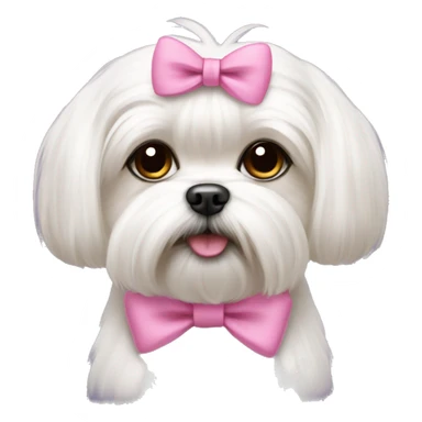 maltese shitzu with pink bow sticker