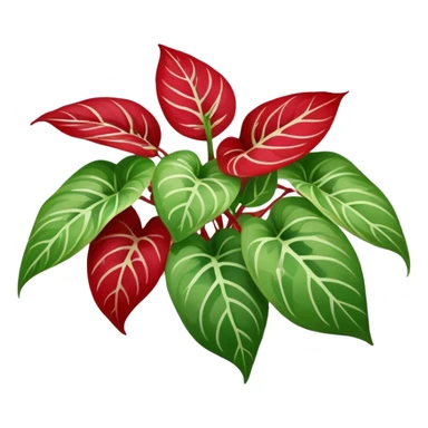 red Variegated pothos sticker