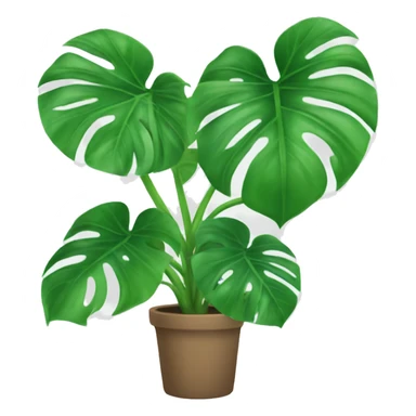 Monstera plant sticker