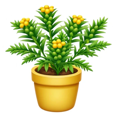 Pineapple Weed herb plant  sticker