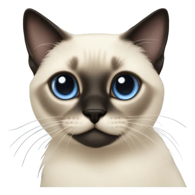 Siamese cat long hair cute black  sticker