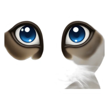 Siamese cat with blue eyes sticker