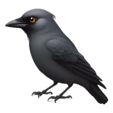 jackdaw with rose sticker