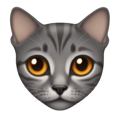 Face from british Short hair with orange eyes sticker