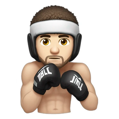 khabib nurmagomedov boxing  sticker