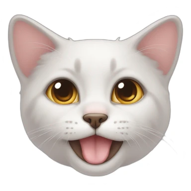 Cute cat looking at u with puppy face sticker