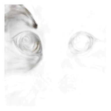 girl cat maine coon sticker