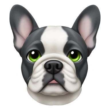 Male French Bulldog, dark grey, green eyes and one ear is floppy. sticker