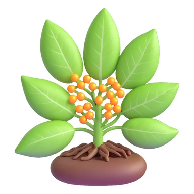 highly scientific detailed labeled 3D illustration of photosynthesis with molecular detail showing ATP NADPH and all relevant molecules transparent background sticker