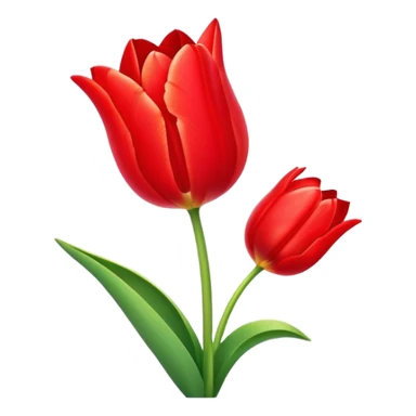Tulip heart  sticker