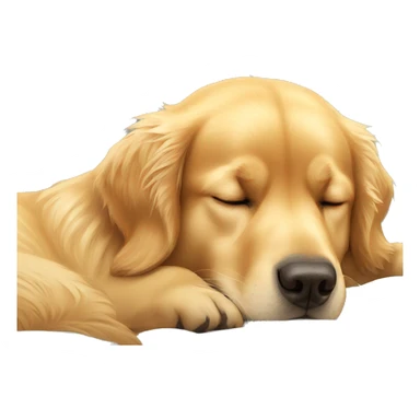 Golden retriever sleeping sticker