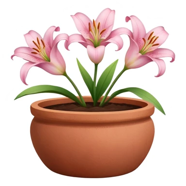 light pink lily flowers in a clay pot sticker